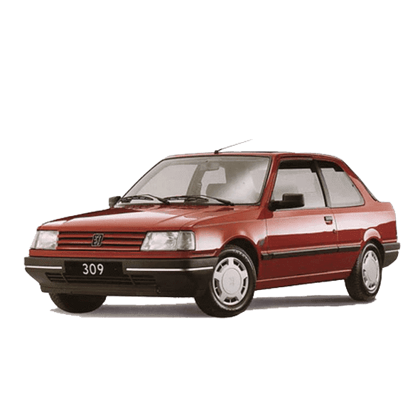 Выкуп Peugeout 309 Выкуп Peugeout 309